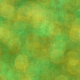 Bokeh-492